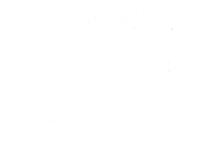 Asicon Consulting